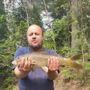 ���������� ����������, ���� ������� ���������, 43 ����, ������������ ��� c�������� ���������