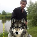 ���������� ����, ���� ������� ������, 36 ���, ������������ ��� ������, ����� � ���������, c�������� ���������