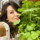 ���������� ������, ���� ������� ���������, 44 ����, ������������ ��� ����� � ���������, c�������� ���������