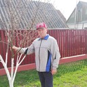  ,   , 71 ,  
