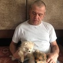 ���������� �����, ���� ������� ��������, 56 ���, ������������ ��� ������, ����� � ���������, c�������� ���������