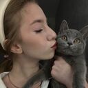 ���������� ������-��-����, ���� ������� ����, 24 ����, ������������ ��� c�������� ���������