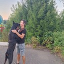 ���������� ���������, ���� ������� �����, 31 ���, ������������ ��� ������, ����� � ���������