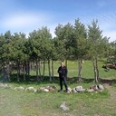  ,   , 41 ,   c , 
