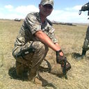 ���������� �����, ���� ������� Artyr, 40 ���, ������������ ��� ���������