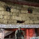 ���������� �������, ���� ����� ������, 3 ����, ������������ ��� ������, ����� � ���������, c�������� ���������