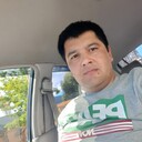 ���������� �����-���������, ���� ������� Timur, 40 ���, ������������ ��� ������, ����� � ���������, c�������� ���������