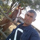 ���������� �����-���������, ���� ������� ����, 40 ���, ������������ ��� c�������� ���������