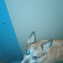 ���������� ������, ���� ������� ����, 42 ����, ������������ ��� ������, ����� � ���������, c�������� ���������