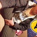 ���������� ������, ���� ������� ���������, 39 ���, ������������ ��� ������, ����� � ���������