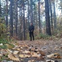 ���������� �����������, ���� ������� ���, 33 ����, ������������ ��� ������, ����� � ���������, c�������� ���������