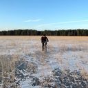 ���������� �����-���������, ���� ������� �����, 54 ����, ������������ ��� ����� � ���������, c�������� ���������