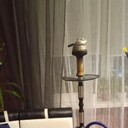 ���������� ������, ���� ������� ������, 31 ���, ������������ ��� ������, ����� � ���������, c�������� ���������, ���������