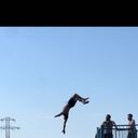 ���������� ������, ���� ������� ������, 29 ���, ������������ ��� ���������