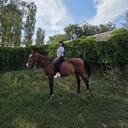  ,   , 40 ,   c 