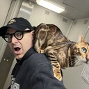 ���������� ������, ���� ������� ������, 49 ���, ������������ ��� ������, ����� � ���������