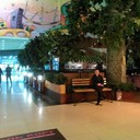 ���������� ������, ���� ������� �������, 48 ���, ������������ ��� ������, ����� � ���������, c�������� ���������