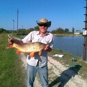  ,   Alleks, 70 ,   ,   , c 