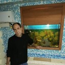 ���������� ���������, ���� ������� ���������, 48 ���, ������������ ��� ������, ����� � ���������, c�������� ���������