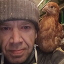 ���������� ������������, ���� ������� ����, 44 ����, ������������ ��� ������, ����� � ���������