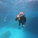 ���������� �����������, ���� ������� �������, 38 ���, ������������ ��� ������, ����� � ���������