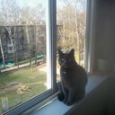  ,   , 58 ,   ,   , c 