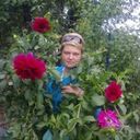 ���������� ����, ���� ������� ���, 43 ����, ������������ 