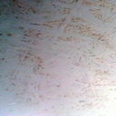 ���������� ������, ���� ������� �����, 38 ���, ������������ ��� ����� � ���������, c�������� ���������