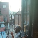 ���������� ������, ���� ������� �����, 37 ���, ������������ ��� ������, ����� � ���������