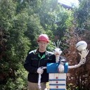 ���������� ���������, ���� ������� �����, 42 ����, ������������ ��� ������, ����� � ���������, c�������� ���������