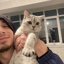 ���������� ���������, ���� ����� ������, 25 ���, ������������ ��� ������