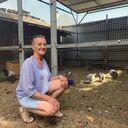 ���������� ���������, ���� ������� ��������, 66 ���, ������������ ��� ����� � ���������, c�������� ���������