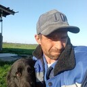  --,   Aleksei, 39 ,   ,   , c 