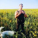 ���������� �������, ���� ������� ��������, 37 ���, ������������ ��� ������, ����� � ���������