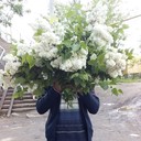 ���������� �������, ���� ������� ������, 64 ����, ������������ 