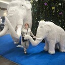 ���������� ������, ���� ������� ������, 57 ���, ������������ ��� c�������� ���������, ���������