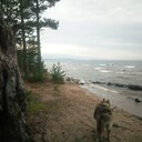 ���������� �������, ���� ������� �������, 51 ���, ������������ ��� ������, ����� � ���������, c�������� ���������