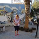 ���������� ������-��-����, ���� ������� �������, 66 ���, ������������ ��� ����� � ���������