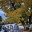 ���������� ������, ���� ������� ���, 33 ����, ������������ ��� ������, ����� � ���������