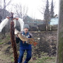  ,   , 33 ,   