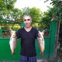 ���������� �������, ���� ������� ���, 49 ���, ������������ ��� ������, ����� � ���������, c�������� ���������, ���������