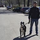 ���������� �����-���������, ���� ������� ����, 36 ���, ������������ ��� ������, ����� � ���������, c�������� ���������