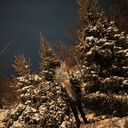 ���������� ���������, ���� ������� ������, 40 ���, ������������ ��� c�������� ���������, ���������