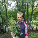 ���������� ������������, ���� ������� David, 33 ����, ������������ ��� ������, ���������