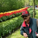 ���������� ����, ���� ������� Stone Lion, 60 ���, ������������ ��� ������, ����� � ���������, c�������� ���������