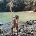  ,   , 41 ,   ,   