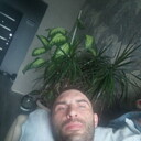 ���������� ������-��-����, ���� ������� �����, 38 ���, ������������ ��� ����� � ���������, ���������