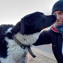 ���������� ����, ���� ������� �������, 35 ���, ������������ ��� ������, ����� � ���������, ���������