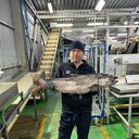  ,   , 44 ,   ,   , c , 