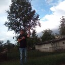  ,   , 44 ,     , c 